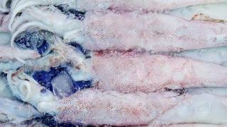 鲜香美味：冰冻鱿鱼须的独特炒制方法