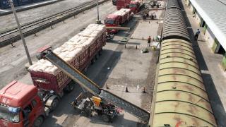 商丘铁路货场工作人员正在装运粮食发往全国各地