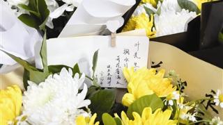 叶嘉莹先生去世 图书馆连夜布置灵堂 迦陵学舍前致敬不断：风雨送大师 她在丛中笑 扫码阅读手机版