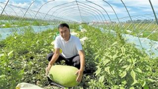 “新农人”种出巨型西瓜