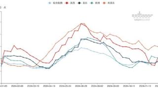 集运运价年内高波动 2025年市场不确定因素仍多｜年终盘点