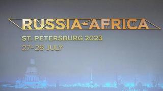 普京计划在圣彼得堡峰会期间会见中非共和国和喀麦隆领导人