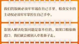 《习近平著作选读》学习笔记：中国人的饭碗任何时候都要牢牢端在自己手上