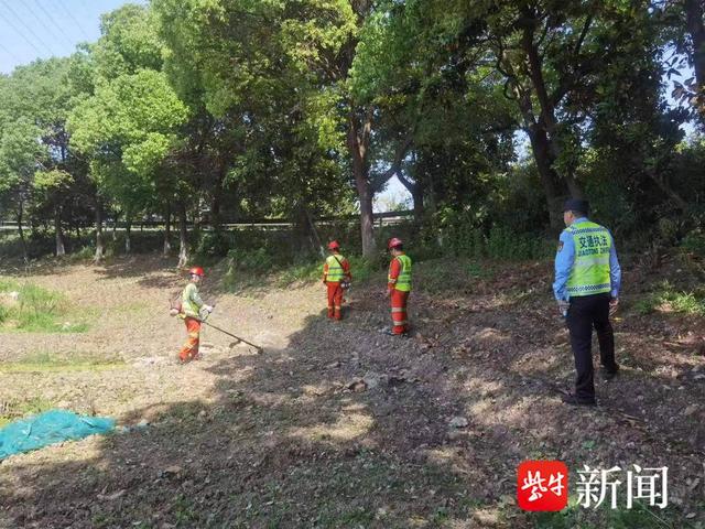省交通运输综合行政执法局沿江支队清理违法种植物