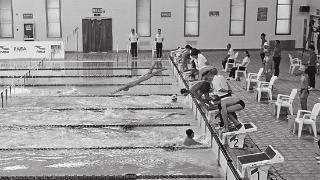 800余青少年参加社会组游泳比赛