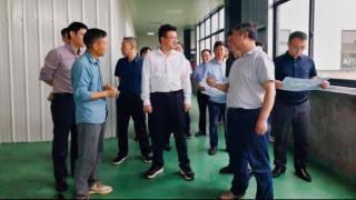 湖南安仁：推进“八大行动”激发县域经济发展活力