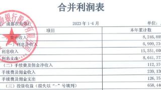 成都农商行上半年净利增14% 计提信用减值损失19亿元