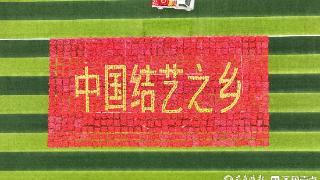 中国结和玉米制成27米长“中国结艺之乡”图案