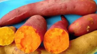 红薯可消灭98.7%的癌细胞，是真还是假？研究结果公布答案