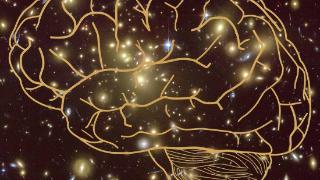 宇宙和人脑高度相似，我们生活在一个巨人的大脑里？