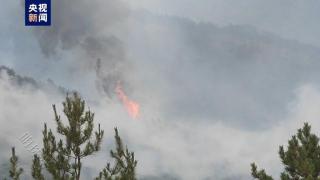山西临汾古县山火火线达1.8公里 当地正在全力扑救
