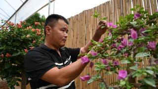 漳州芗城：美丽经济为乡村振兴锦上添“花”