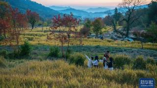 安徽黟县：风景如画 文旅焕新