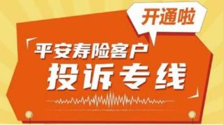 在中国式现代化浪潮下，平安保险投诉如何守护保险未来？