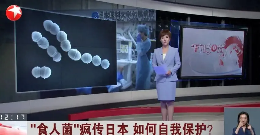 在日本疯传的“食人菌”是什么？会不会进一步扩散？近期还能去旅游吗？