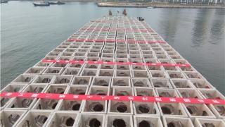 驻青央企承建|国信海洋牧场二期第一批鱼礁体顺利投放