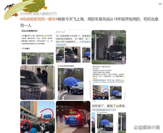 杨紫搭同车被误认为肖战私人车辆，引发网友热议