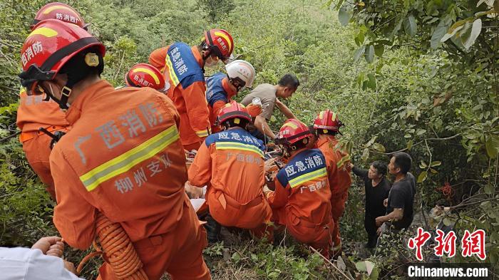 广西柳州民众上山祭祖遇滚石 致一死五伤