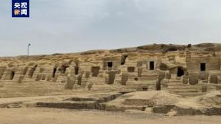 埃及考古队在塞加拉地区新发现两座人类木乃伊制作工坊