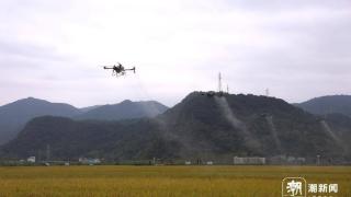 发展农业农村低空经济 浙江乡村加速“起飞”