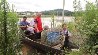 【视频】江西彭泽：水涨路不断 爱心船只保障居民出行