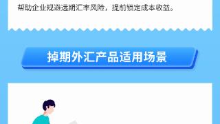 2024年“诚信兴商宣传月”汇率避险之产品篇人民币外汇掉期