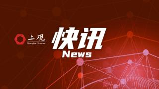 东京股市两大股指均大跌逾12%