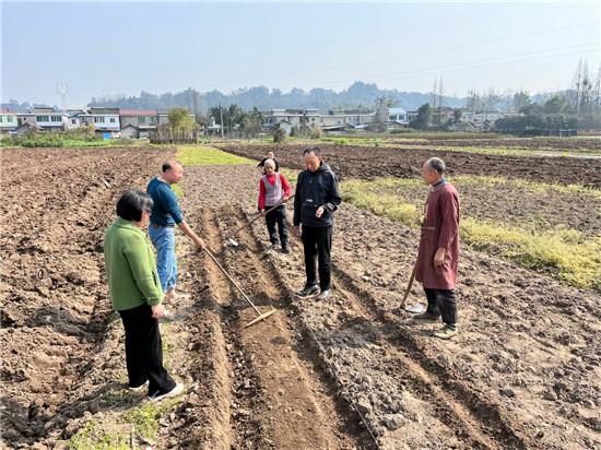 洪雅农业农村局：党建引领促春耕 乡村振兴惠民生