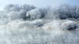 【组图】韩国冬季雾凇景观美不胜收