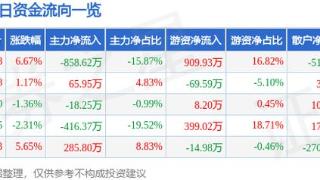 扬州金泉（603307）1月20日主力资金净卖出858.62万元