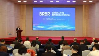 BRBR投融资工作组首次在南宁举办国际银团业务研讨会