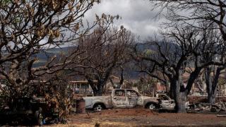 “破坏程度令人震惊”：夏威夷野火灾民首次重返家园
