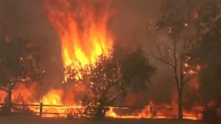 高温干旱致美国西部多地发生林火