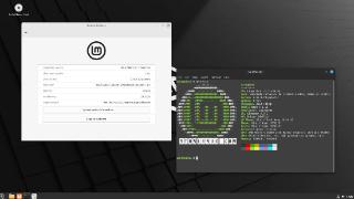 beta版linuxmint21.2发布可访问官网下载镜像