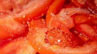 为啥西红柿如今越来越难吃？专家历时四年研究，发现是西红柿变了