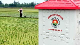 “鲁南粮仓”农民刷卡抗旱，智能灌溉系统确保丰收