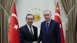 土耳其总统埃尔多安会见王毅