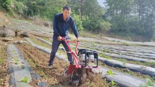 乡村振兴路上的拓路人