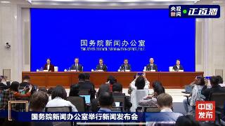 落实一揽子增量政策 国新办发布会要点一文速览