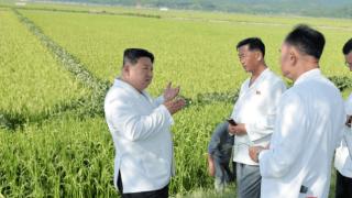 金正恩视察江原道农场并亲自组织指挥农药撒布作业，朝鲜人民军出动