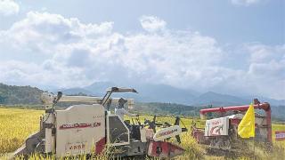 芒市推广水稻生产 全程机械化旱直播技术