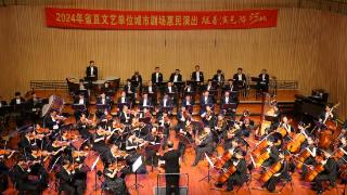 惠民音乐会《来自高加索的回响》圆满落幕