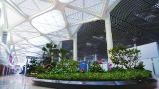 绿色机场，从能源管理开始（附图片）