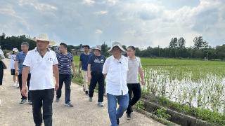 全国脱贫攻坚楷模赵亚夫来句容茅山风景区墓东村调研指导