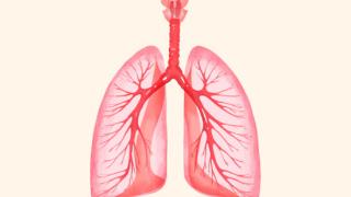 肺间质纤维化治疗期