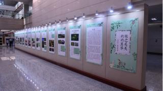 《诗经》植物图鉴展与传统文化中的太阳展正在吉林省图书馆开展
