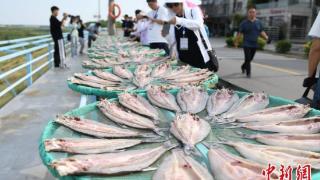湖南岳阳洞庭渔民上岸   晒风干鱼年产值超2亿元