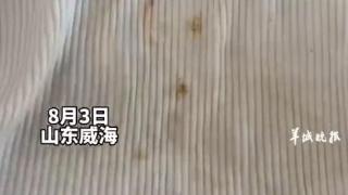 妈妈发现3岁女儿背心上印有侮辱性单词：衣服已扔掉，网上同款还在卖，很不理解