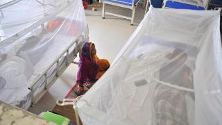孟加拉国暴发登革热：今年死亡超300例，创本世纪新高