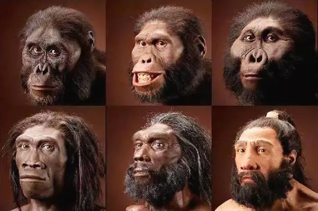 达尔文的进化论错了？